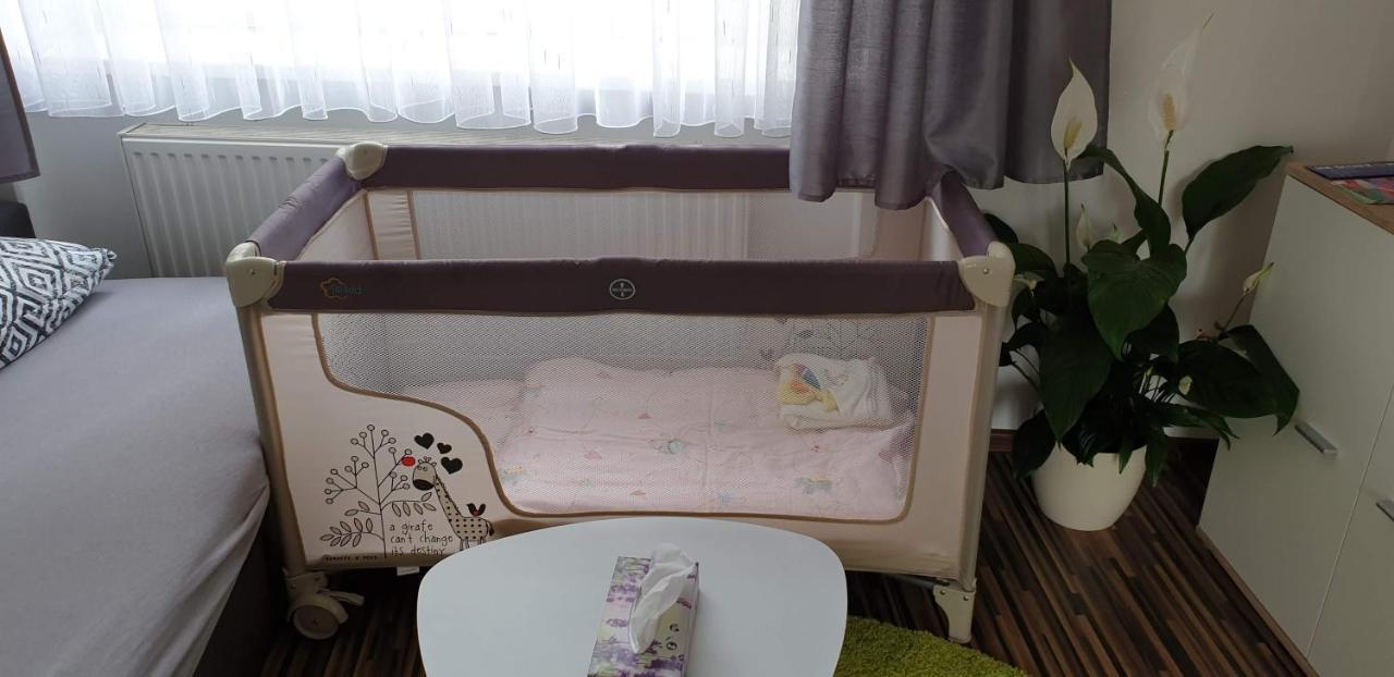 Laura'S Apartment 卡罗维发利 外观 照片